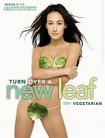 Click image for larger version.&nbsp;

Name:	hot 2.jpg&nbsp;
Views:	265&nbsp;
Size:	51.6 KB&nbsp;
ID:	10230