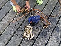Click image for larger version.&nbsp;

Name:	IMG-20110830-00891 (Small).jpg&nbsp;
Views:	50&nbsp;
Size:	116.4 KB&nbsp;
ID:	27425
