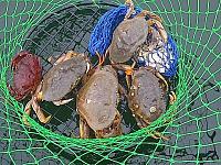 Click image for larger version.&nbsp;

Name:	IMG-20110830-00892 (Small).jpg&nbsp;
Views:	51&nbsp;
Size:	112.6 KB&nbsp;
ID:	27426