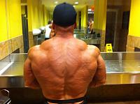 Click image for larger version.&nbsp;

Name:	8DAYSOUTBACK.jpg&nbsp;
Views:	80&nbsp;
Size:	48.2 KB&nbsp;
ID:	27890