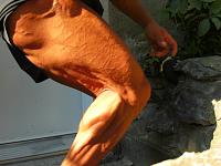 Click image for larger version.&nbsp;

Name:	CIMG0190.JPG&nbsp;
Views:	70&nbsp;
Size:	128.8 KB&nbsp;
ID:	27906