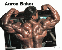 Click image for larger version.&nbsp;

Name:	batman.gif&nbsp;
Views:	49&nbsp;
Size:	63.8 KB&nbsp;
ID:	29172