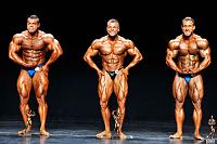 Click image for larger version.&nbsp;

Name:	Heavyweights.jpg&nbsp;
Views:	1564&nbsp;
Size:	80.7 KB&nbsp;
ID:	29191
