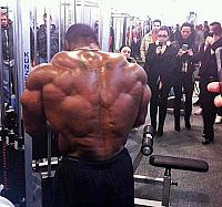 Click image for larger version.&nbsp;

Name:	Spectacle.jpg&nbsp;
Views:	40&nbsp;
Size:	72.2 KB&nbsp;
ID:	29487
