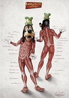 Click image for larger version.&nbsp;

Name:	goofy_s_anatomy.jpg&nbsp;
Views:	120&nbsp;
Size:	77.4 KB&nbsp;
ID:	36316