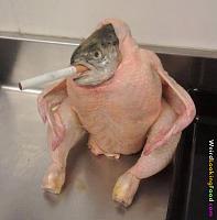 Click image for larger version.&nbsp;

Name:	weird-looking-food-071.jpg&nbsp;
Views:	432&nbsp;
Size:	50.2 KB&nbsp;
ID:	36318