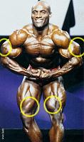 Click image for larger version.&nbsp;

Name:	ernietaylor.jpg&nbsp;
Views:	391&nbsp;
Size:	42.8 KB&nbsp;
ID:	36449
