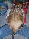 Name:  hug.jpg
Views: 302
Size:  3.2 KB