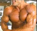 Beachmuscle's Avatar