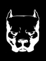 dngerfield's Avatar