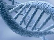 DnA's Avatar