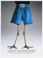 chickenlegs's Avatar
