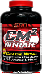 san_cm2_nitrate.png