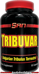 san_tribuvar.png