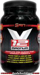 san_v12_magnum.png