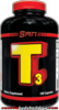 san_t3.png