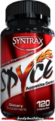 syntrax_spyce1.png