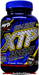 mvp_xtp1.png