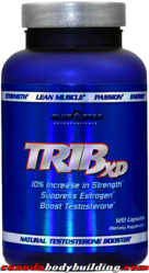 blue_star_tri-b_xd.png
