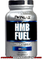 twinlab_hmb_fuel.png