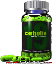 biotest_carbolin_19.png