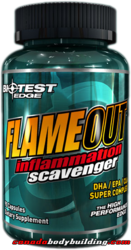 biotest_flameout.png