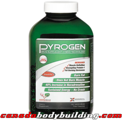 ads_pyrogen.png