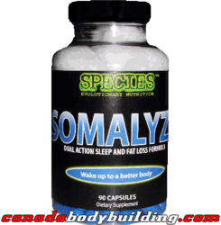 species_somalyz.png