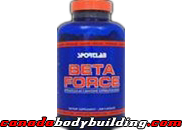 sportlab_beta_force.png