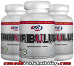 all_american_tribulus_elite.png