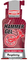 hammer_nutrition_hammer_gel.png