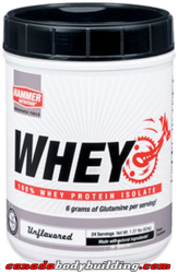 hammer_nutrition_hammer_whey.png