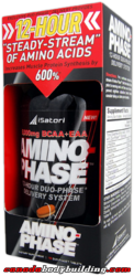 isatori_amino_phase.png