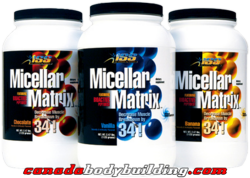 iss_research_micellar_matrix.png