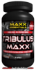 maxx_essentials_tribulus_maxx.png