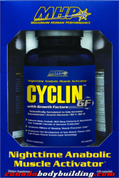 mhp_cyclin_gf.png
