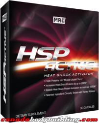 mri_hsp_active.png