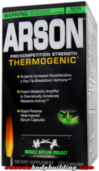 muscle_asylum_project_arson.png
