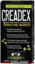 muscle_asylum_project_creadex.png