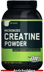 optimum_nutrition_micronized_creatine_powder.png