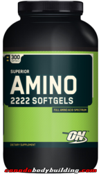 optimum_nutrition_superior_amino_2222.png
