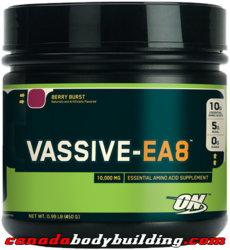 optimum_nutrition_vassive_ea8.png